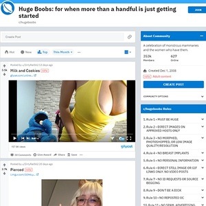 HugeBoobs, Reddits NSFW