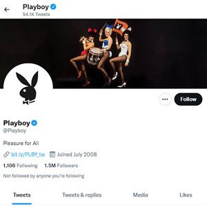 Playboy, Twitter Pornófiókok