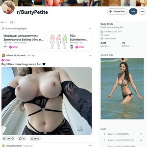 Reddit Busty Petite, Reddits NSFW