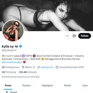 Kylie Quinn, Twitter Pornófiókok