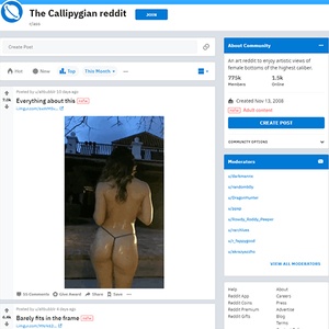 Reddit Ass, Reddits NSFW
