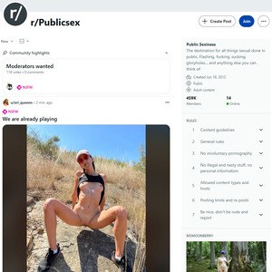 Reddit Public Sex, Reddits NSFW
