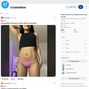 Reddit Cameltoe, Reddits NSFW