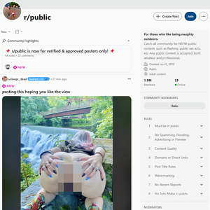 Reddit Public, Voyeur Pornosites