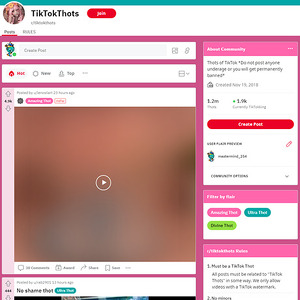 Reddit TikTokThots, Reddits NSFW
